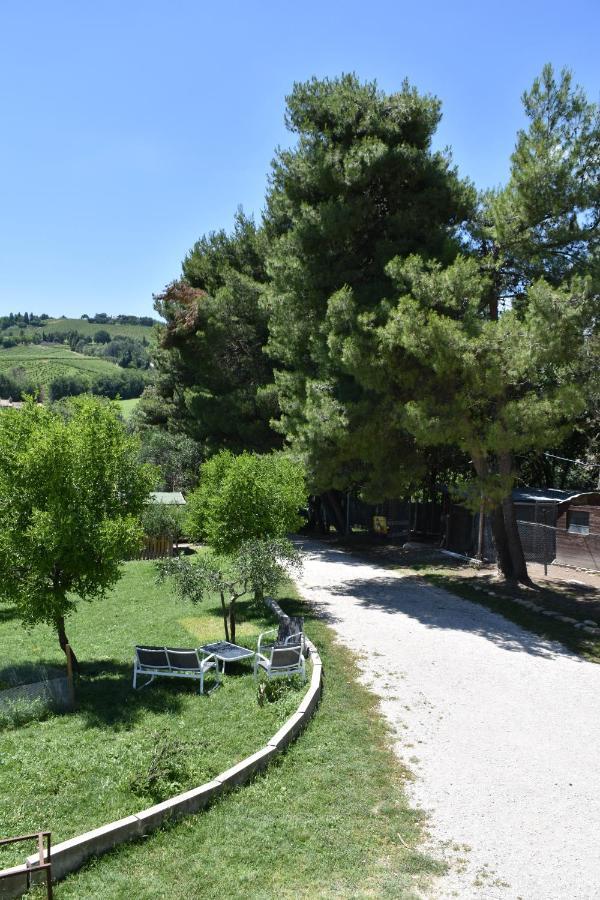 Fattoria Country Village Montecarotto Exterior foto