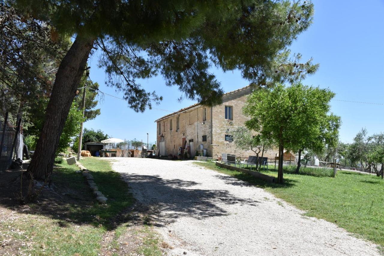 Fattoria Country Village Montecarotto Exterior foto